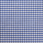 Nappe Anti Tâches Vichy Bleu Pervenche - Ribes y Casals