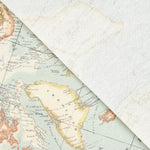 Tissu Enduit Mappemonde - Ribes y Casals