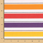 Nappe anti-tâches Aramis Multi-rayures Bleu - Ribes y Casals