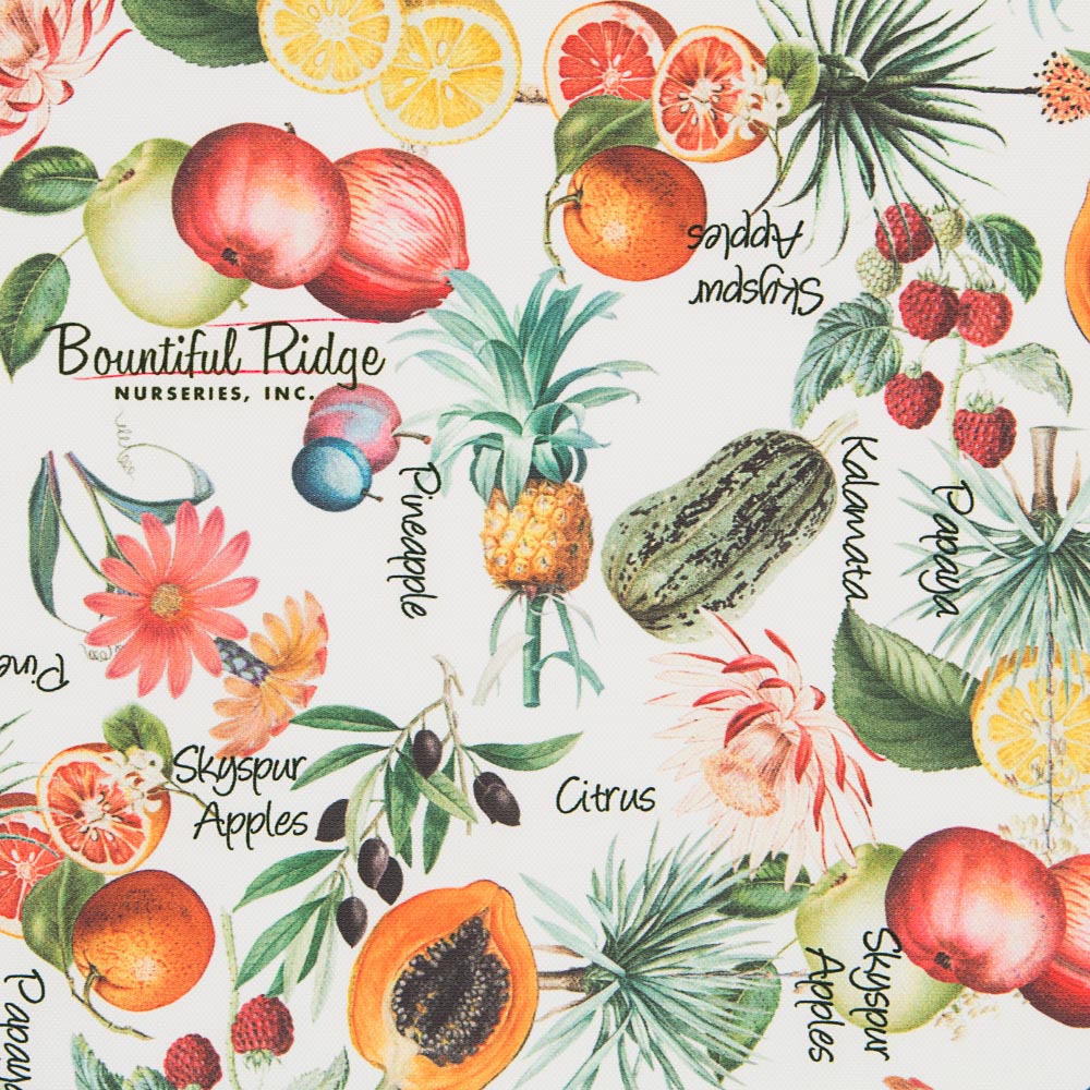 Nappe Citrus Blanc - Ribes y Casals