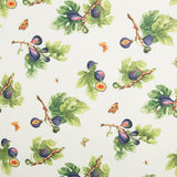 Nappe Figuiers - Ribes y Casals