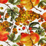 Nappe Anti-Tâche Pêches - Ribes y Casals