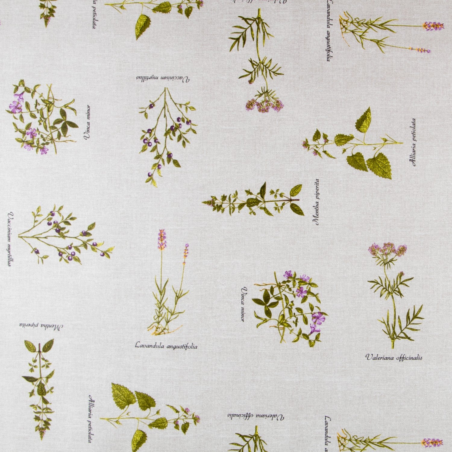 Nappe Anti-Tâche Plantes Herbier - Ribes y Casals