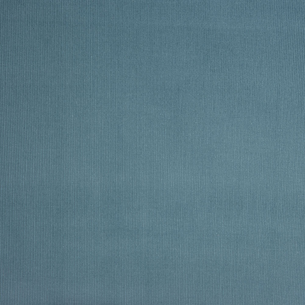 Micro velours côtelé bleu - Ribes y Casals