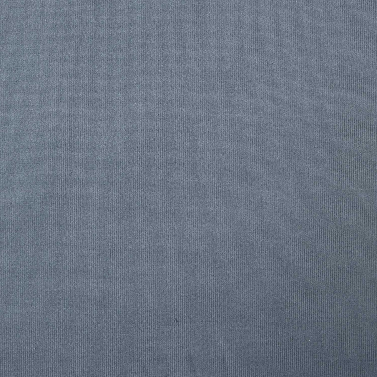 Velours côtelé de coton bleu - Ribes y Casals