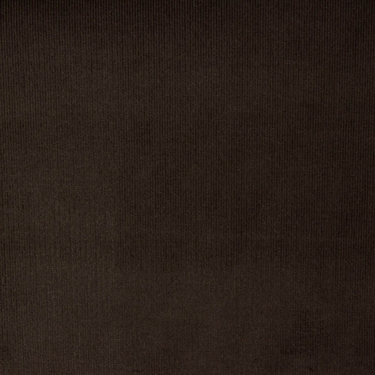 Micro Polaire Coton Marron Foncé - Ribes y Casals