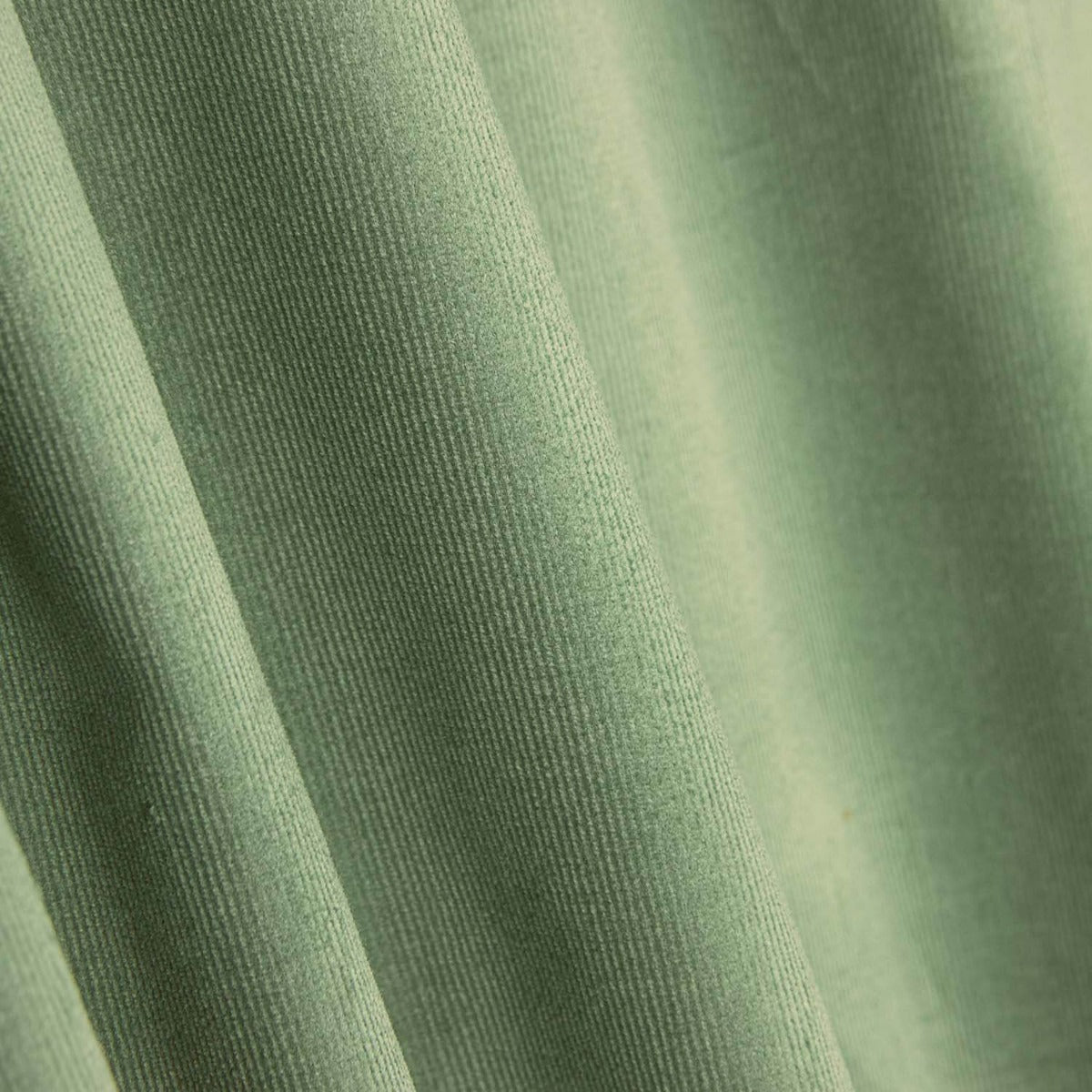 Velours côtelé en coton Spandex vert - Ribes y Casals