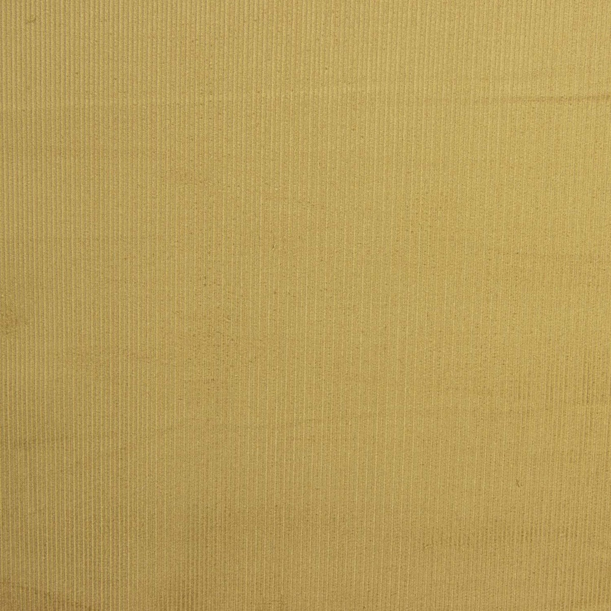 Micro-corduroy fin camel - Ribes y Casals