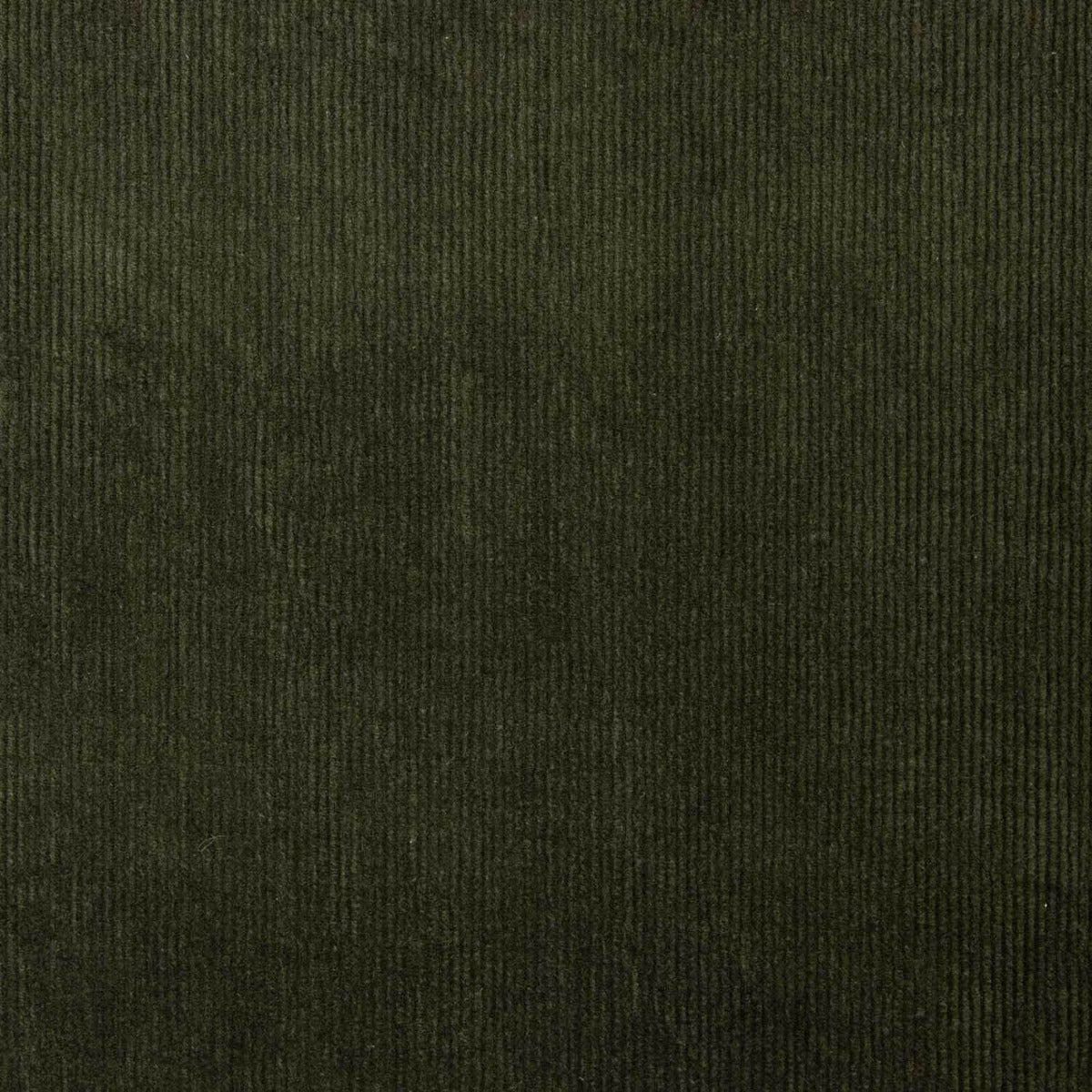 Velours côtelé fin élastique marron foncé - Ribes y Casals