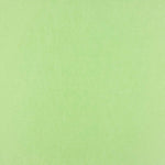 Mikado Polyester Vert Clair - Ribes y Casals