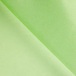 Mikado Polyester Vert Clair - Ribes y Casals