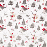 Minky Oursons Neige - Ribes y Casals