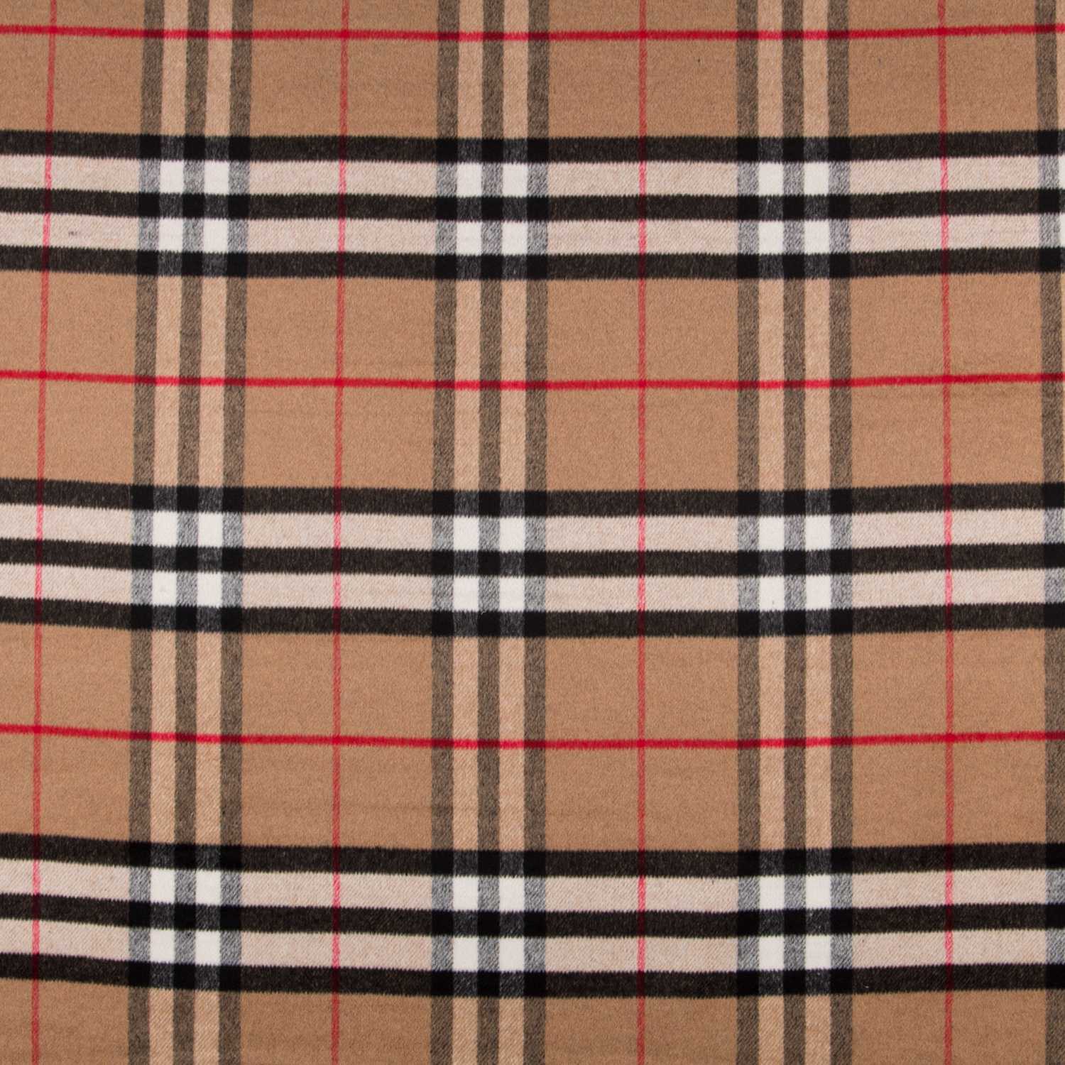 Mouflon Écossais Camel - Ribes y Casals