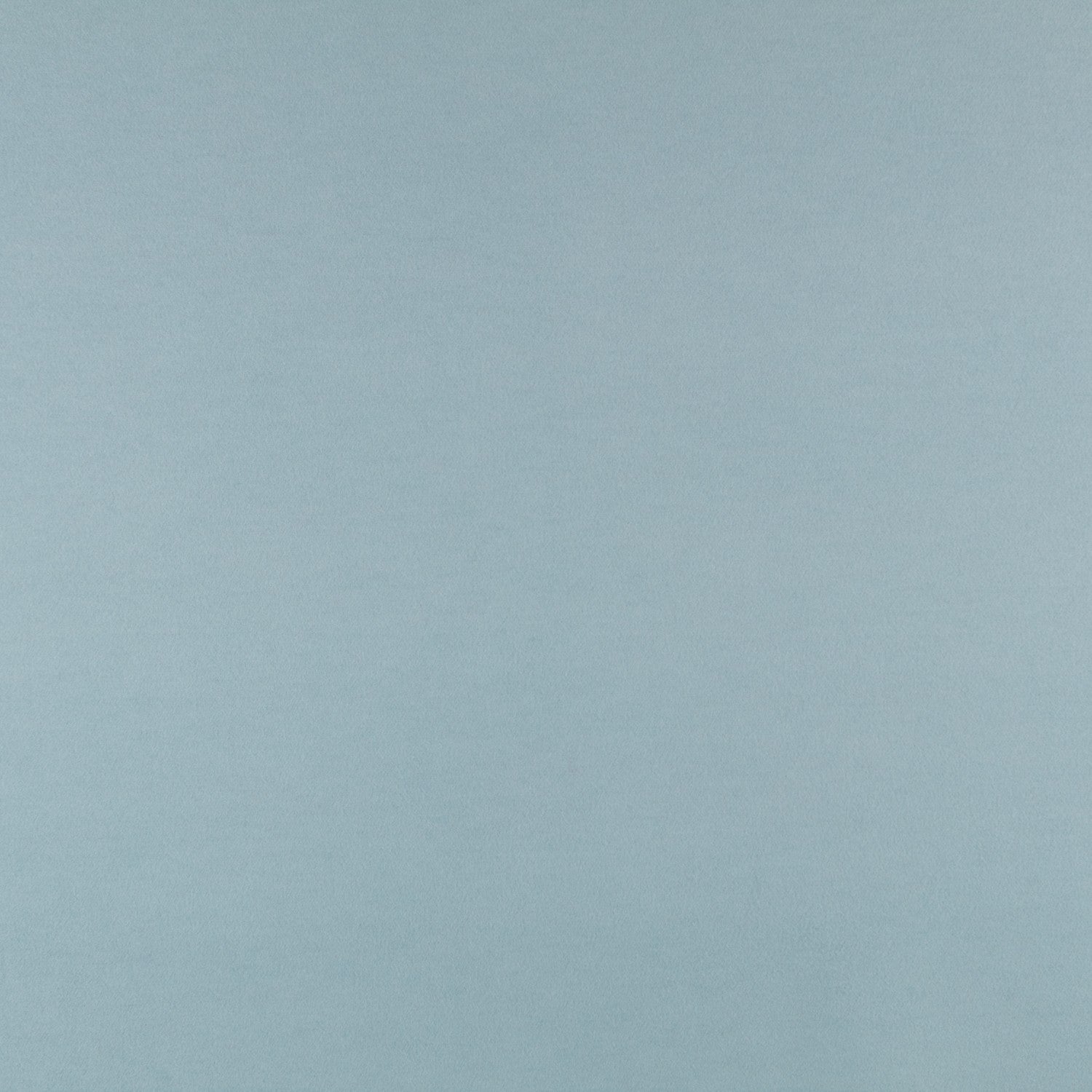 Mouflon Bleu Glace - Ribes y Casals