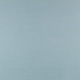 Mouflon Bleu Glace - Ribes y Casals