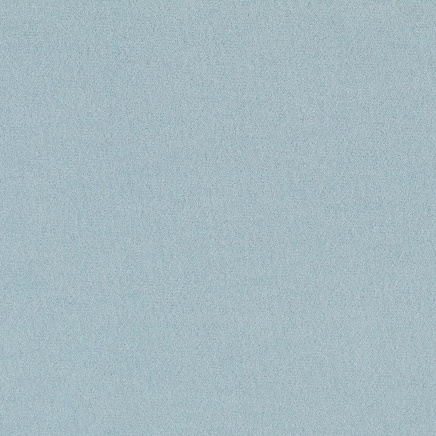 Mouflon Bleu Glace - Ribes y Casals