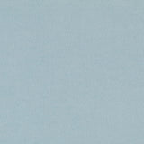 Mouflon Bleu Glace - Ribes y Casals