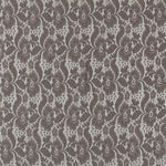 Dentelle Élastique Couleur Taupe - Ribes y Casals