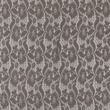 Dentelle Élastique Couleur Taupe - Ribes y Casals