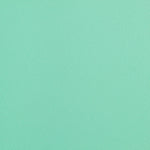 New Crêpe Satin Vert Eaux - Ribes y Casals