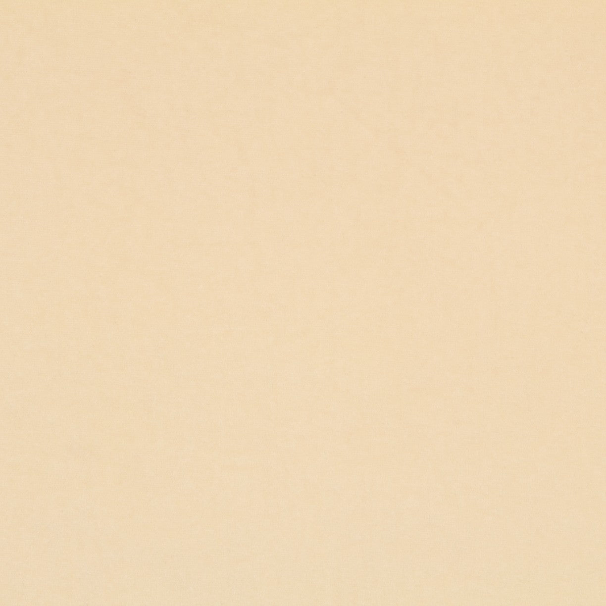 New Velours Élastique Ivoire - Ribes y Casals