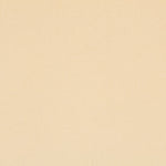 New Velours Élastique Ivoire - Ribes y Casals