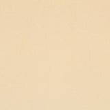 New Velours Élastique Ivoire - Ribes y Casals