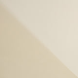 Organdi Polyester Camel - Ribes y Casals