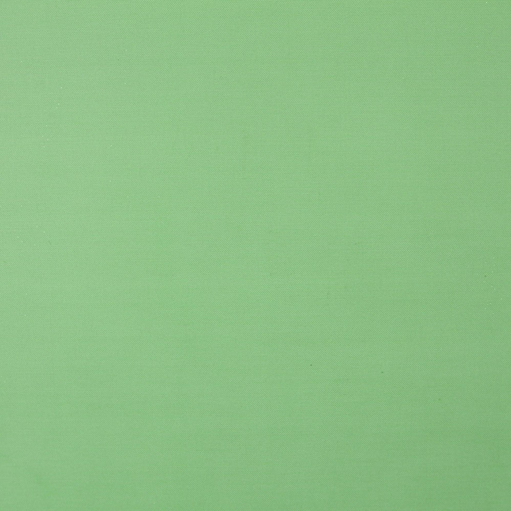 Organdi Polyester Vert - Ribes y Casals