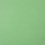 Organdi Polyester Vert - Ribes y Casals