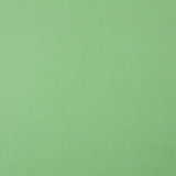 Organdi Polyester Vert - Ribes y Casals