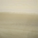 Organdi suisse beige - Ribes y Casals