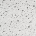 Organza Étoiles Blanches Argent - Ribes y Casals