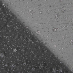 Organza Étoiles Noires Argent - Ribes y Casals