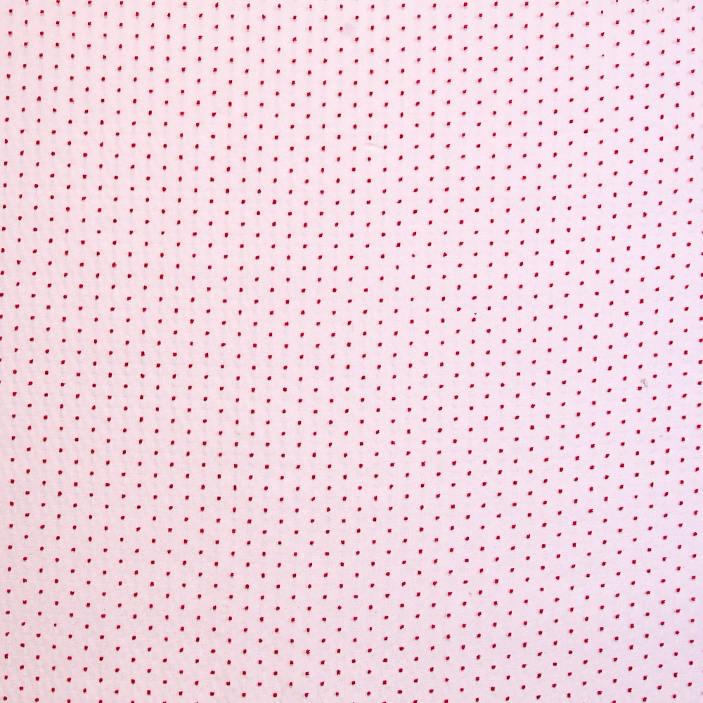 Organza Polyester Plumeti Rouge - Ribes y Casals