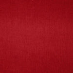 Velours Côtelé Coton Rubis - Ribes y Casals