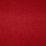 Velours Côtelé Coton Rubis - Ribes y Casals
