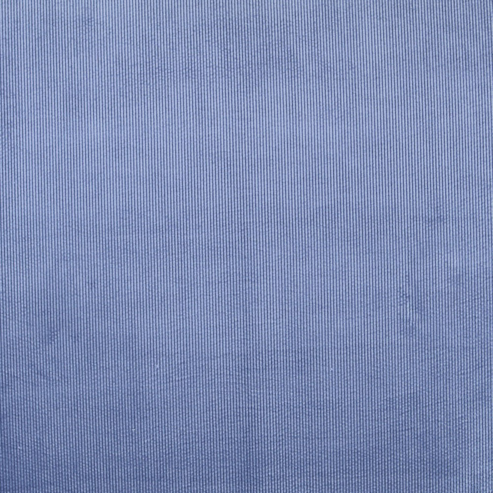 Velours Côtelé Bleu - Ribes y Casals