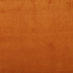 Velours Côtelé Caramel - Ribes y Casals