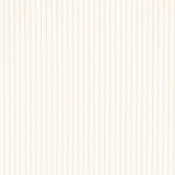 Velours Côtelé Écru - Ribes y Casals