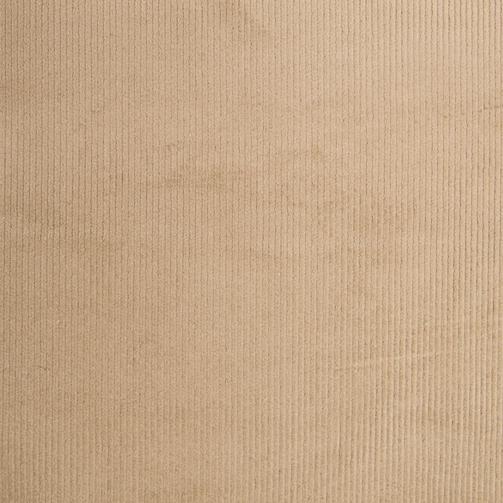 Panne Velours Élastique Beige - Ribes y Casals