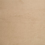 Panne Velours Élastique Beige - Ribes y Casals