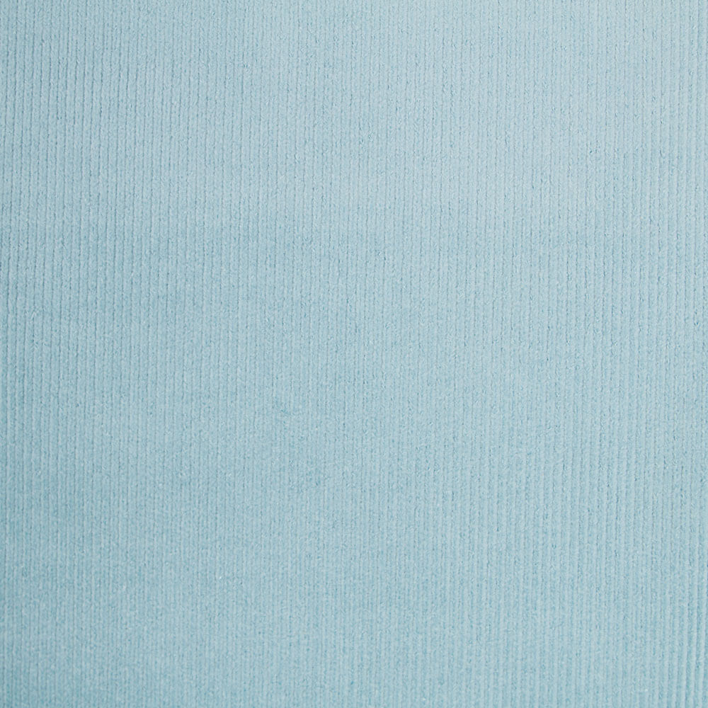 Panne Velours Élastique Turquoise - Ribes y Casals