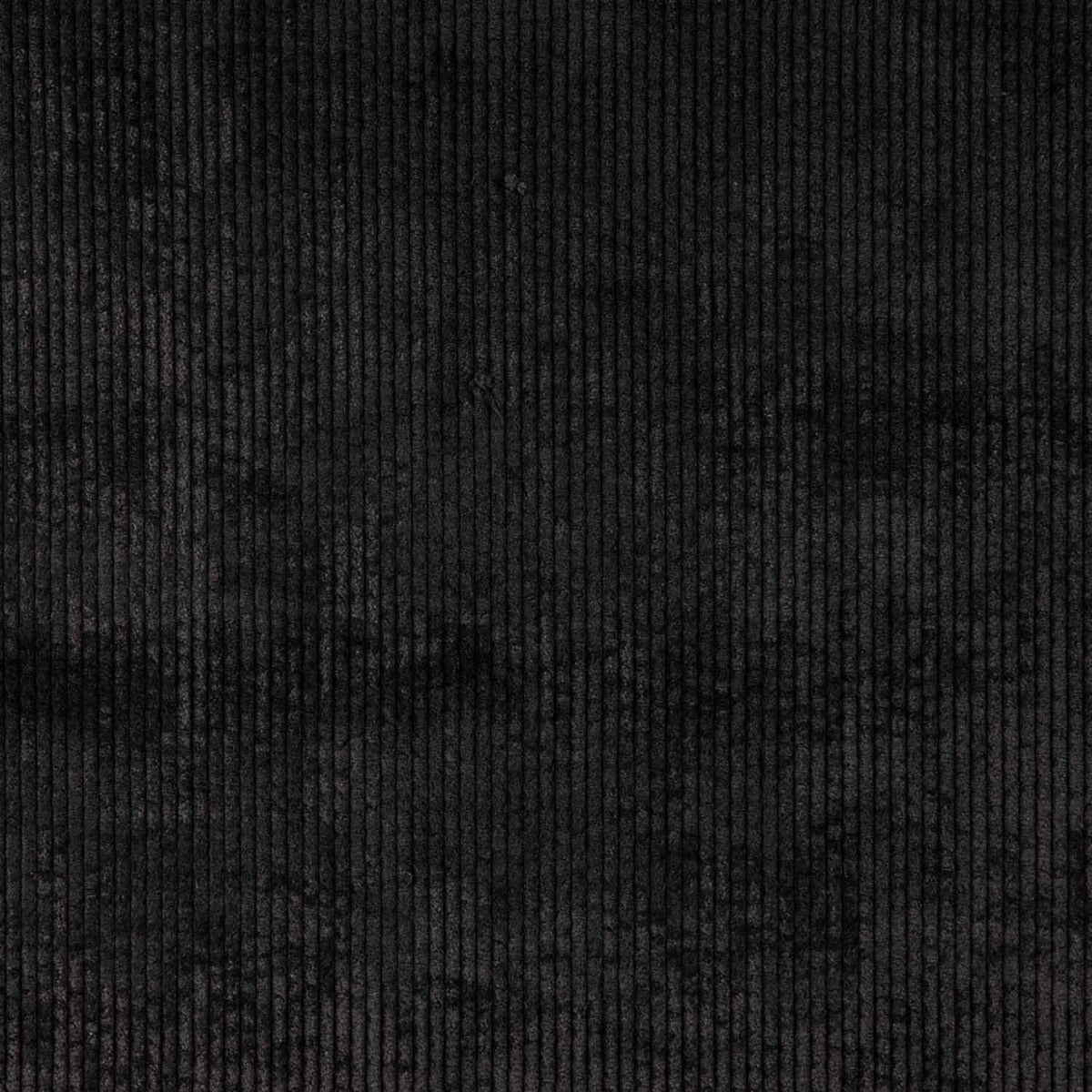 Velours côtelé tendance noir - Ribes y Casals