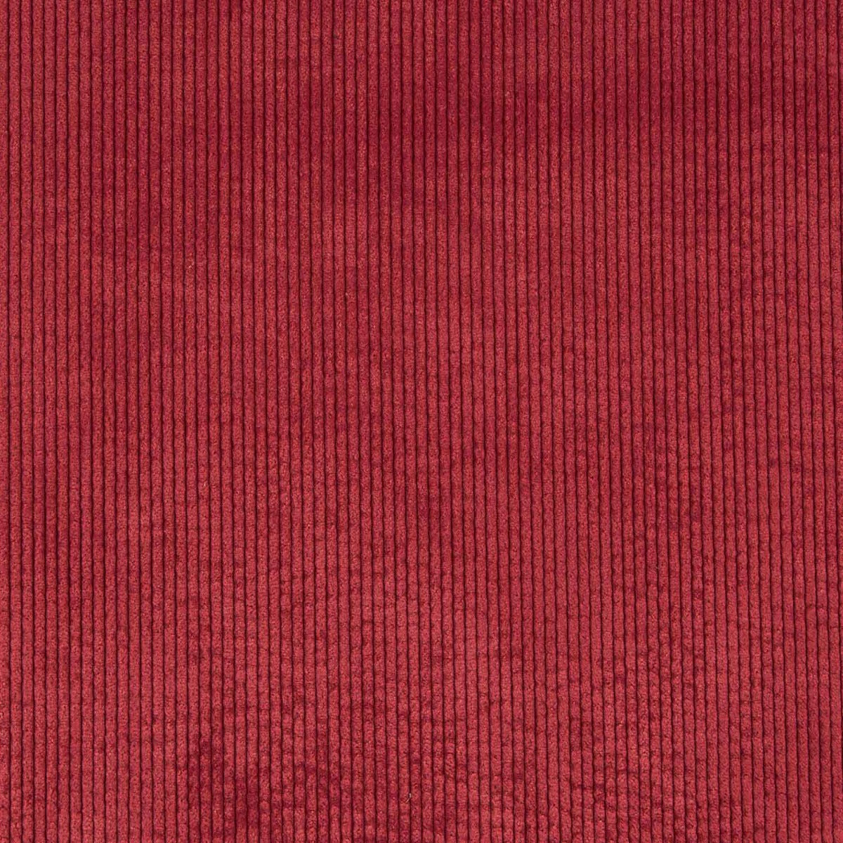Velours côtelé tendance rouge rubis - Ribes y Casals