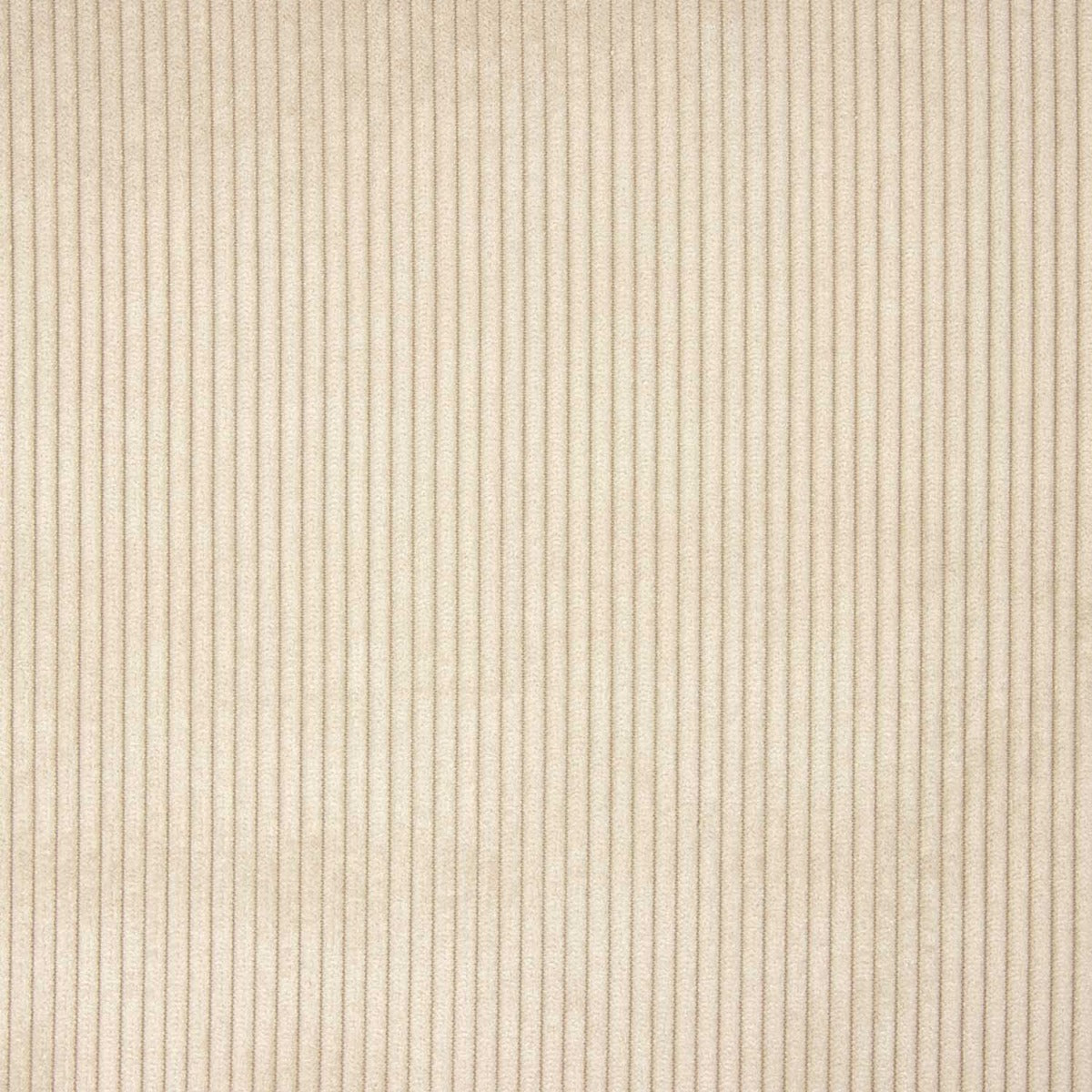 Velours côtelé beige caramel - Ribes y Casals