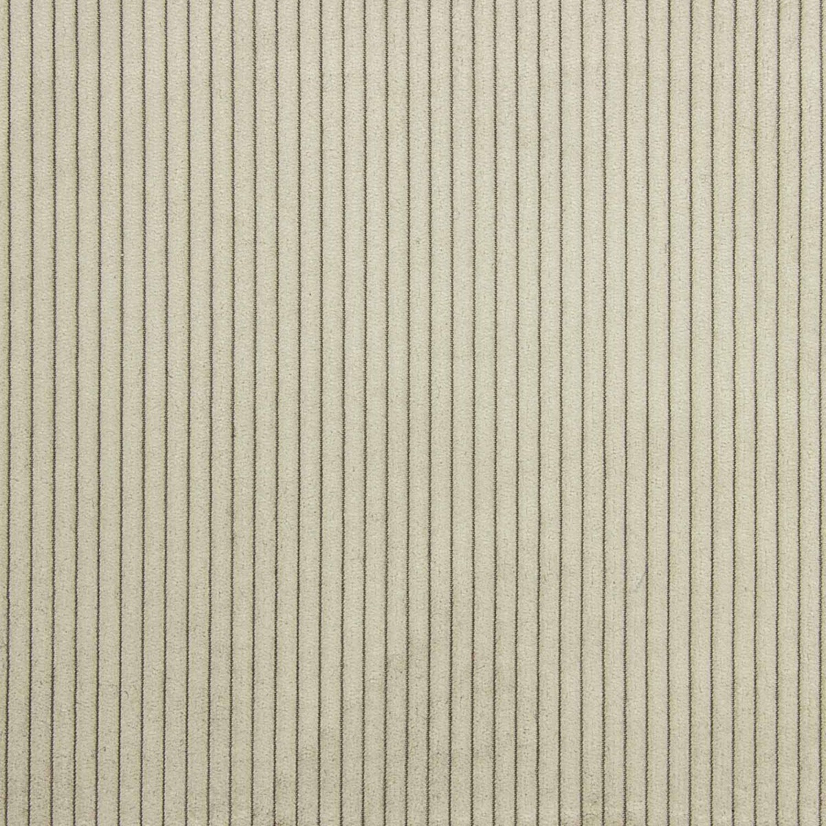 Pana Tapicería Trufa - Ribes y Casals