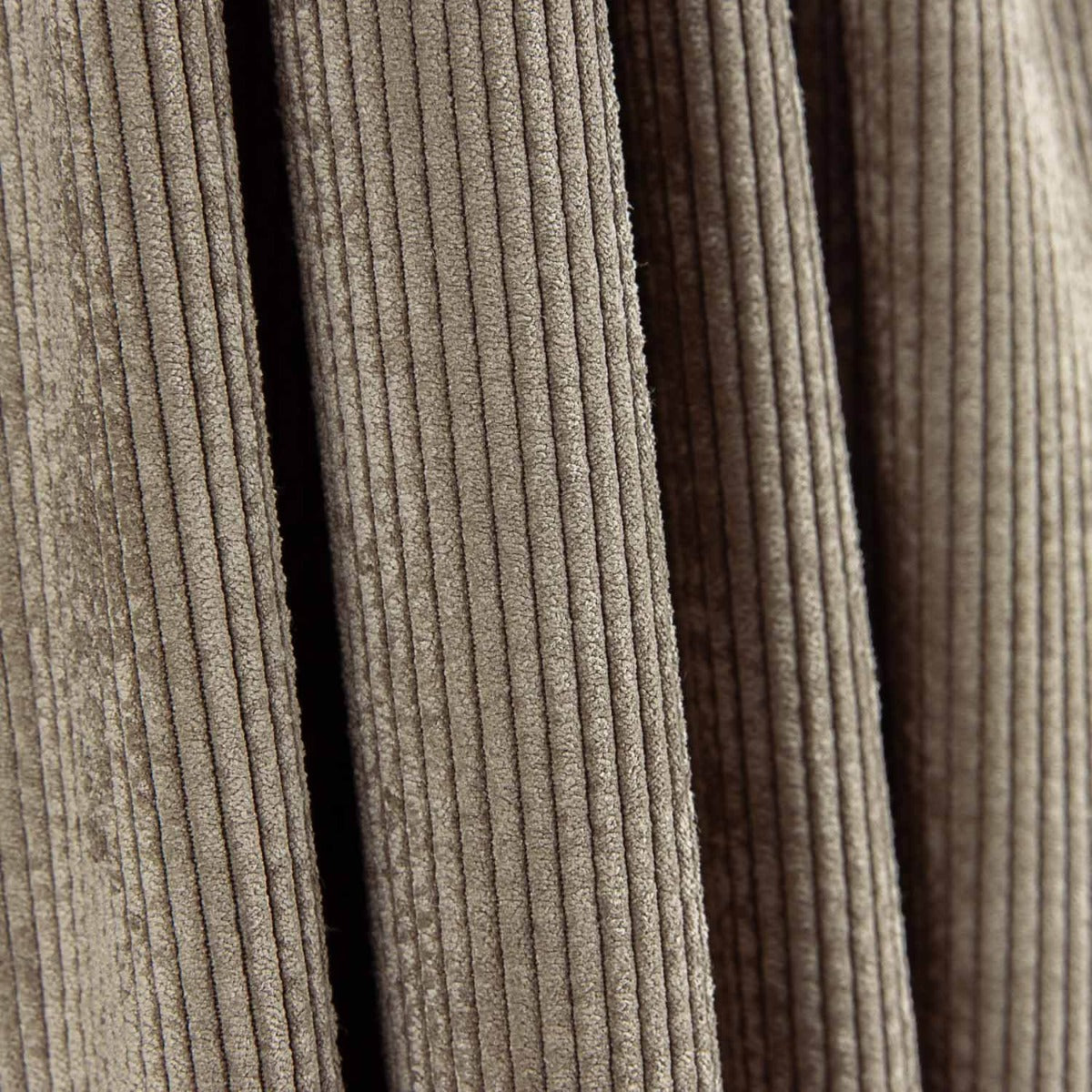 Velours côtelé tendance taupe - Ribes y Casals
