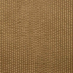 Velours côtelé marron - Ribes y Casals