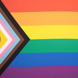 Panneau drapeau brillant LGTBIQ+ - Ribes y Casals